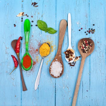 Spoon with spices and herbs