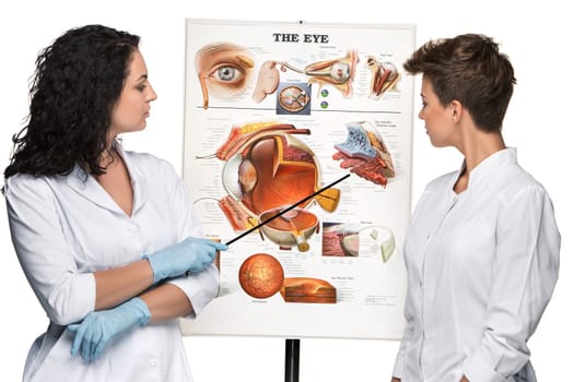 two optician or oculist women telling about the structure of the eye. White background. Poster Device eyes
