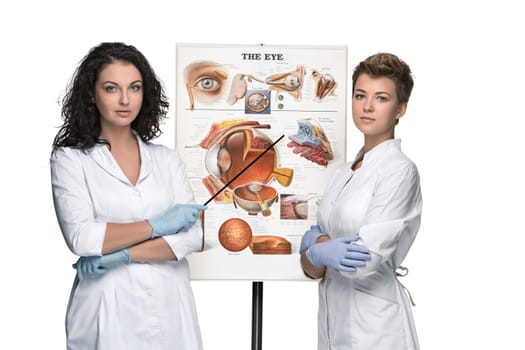 two optician or oculist women telling about the structure of the eye. White background. Poster Device eyes