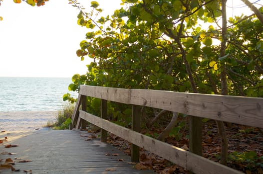 A raised wooden boardwalk with railings leads to the beach in bonita springs florida, with gulf of mexico in distance and sea grapes growing.