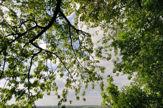 Spring