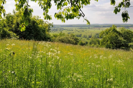 Spring