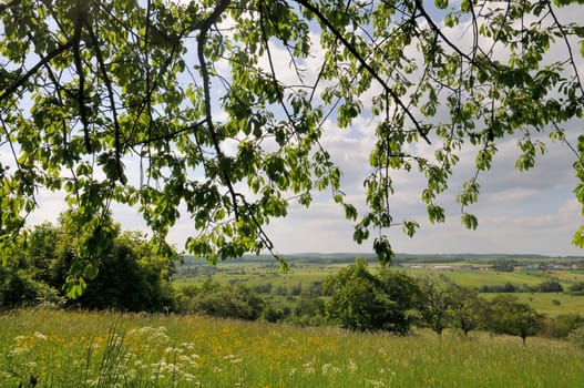 Spring