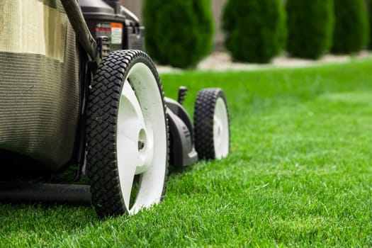 Lawn mower on green lawn
