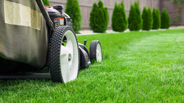 Lawn mower on green lawn
