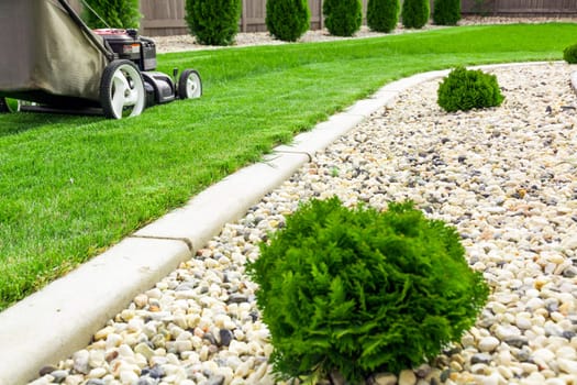 Lawn mower on green lawn