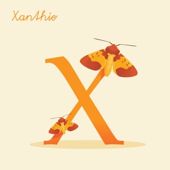 Animal alphabet with xanthie,  vector illustration
