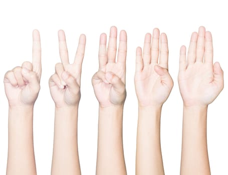 closeup hand gesture count one to five isolated white clipping path inside