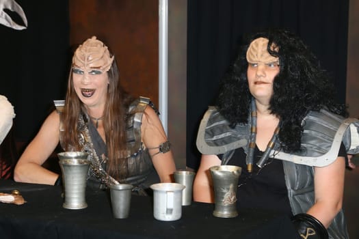 Impressions,disguised fans,Fedcon 24,Duesseldorf,23.05.2015
