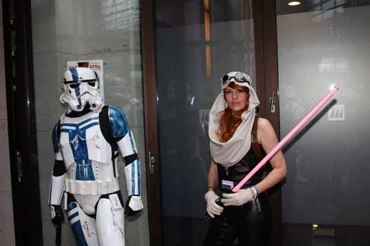 Impressions,disguised fans,Fedcon 24,Duesseldorf,23.05.2015