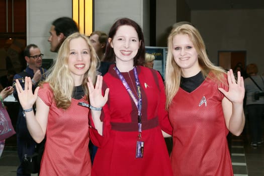 Impressions,disguised fans,Fedcon 24,Duesseldorf,23.05.2015