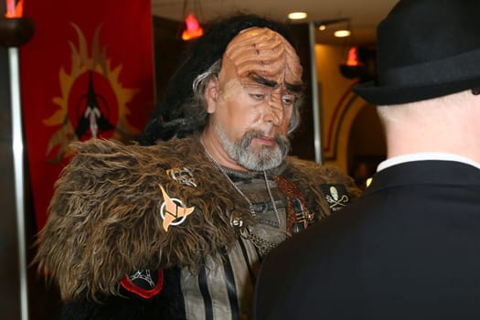 Impressions,disguised fans,Fedcon 24,Duesseldorf,23.05.2015