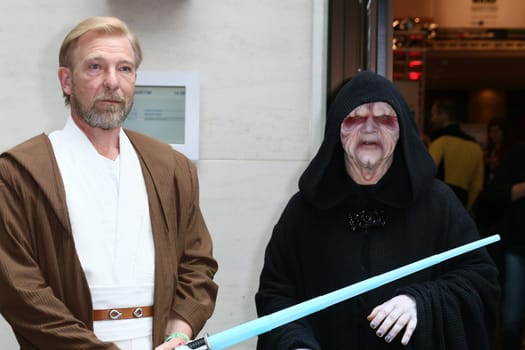 Impressions,disguised fans,Fedcon 24,Duesseldorf,23.05.2015