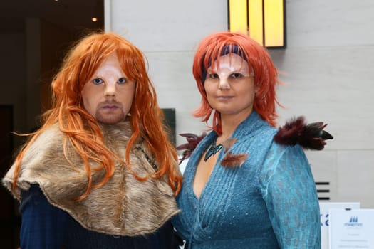 Impressions,disguised fans,Fedcon 24,Duesseldorf,23.05.2015
