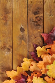 original autumn foliage in different colours on wooden floor