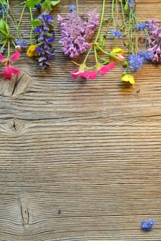 flowers on a wooden board