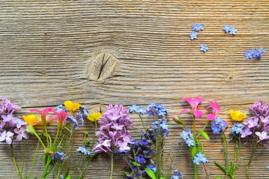 Spring flowers on board