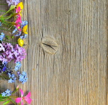 flowers on a wooden board