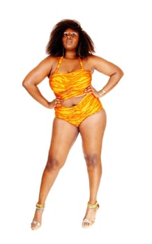 An big young African American woman in a orange bikini standing isolated.for white background..
