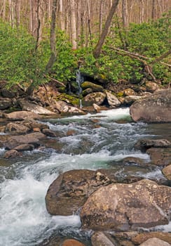 Roaring Stream in the Smoky Mountains in Tennessee