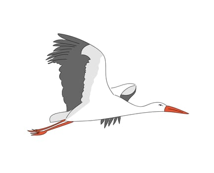 A vector illustration of stork