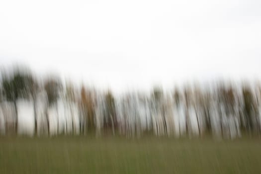 Motion blurred foliage and trees in autumn