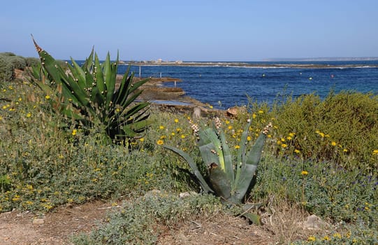 Natural beach