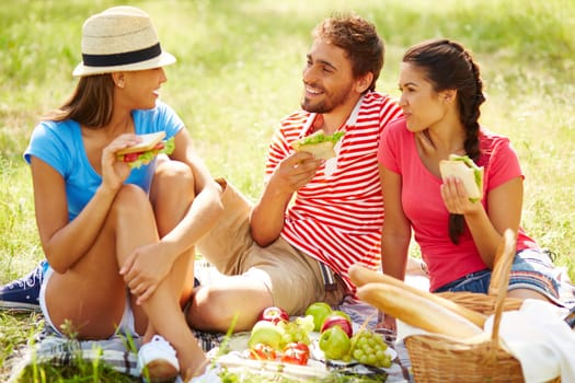 Happy friends having picnic in natural environment