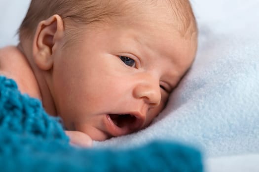Newborn baby baby wrapped in a blue wool blanket naked as a close-up