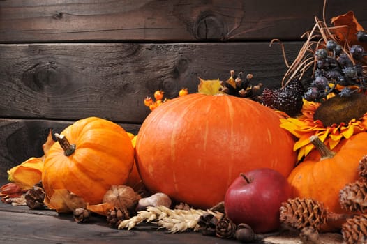 Thanksgiving - various pumpkins with nuts,berries and grains in front of a wooden wall