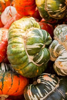 Bishop's cap Turk turban cucurbita pumpkin pumpkin in autumn at a market stall