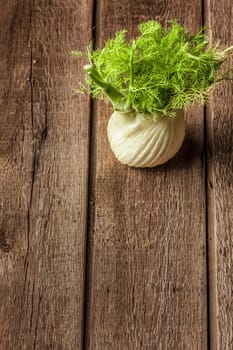 fresh fennel full of vitamins and fibers on wooden table