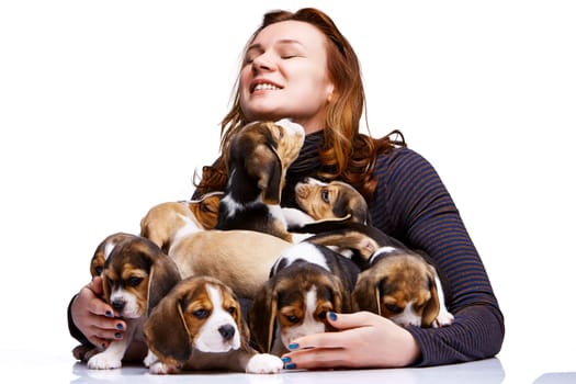 The happy  woman and big group of a beagle puppies on white background