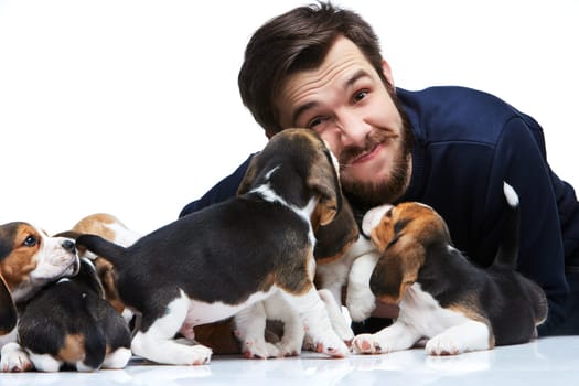 The happy man and big group of a beagle puppies on white background