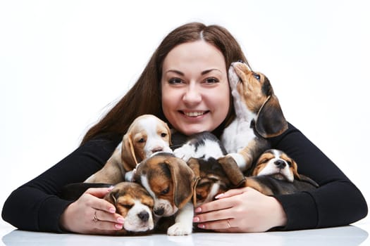 The happy  woman and big group of a beagle puppies on white background