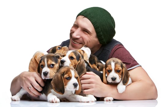 The happy man and big group of a beagle puppies on white background