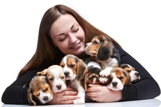 The happy  woman and big group of a beagle puppies on white background