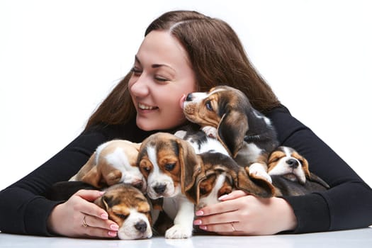 The happy  woman and big group of a beagle puppies on white background