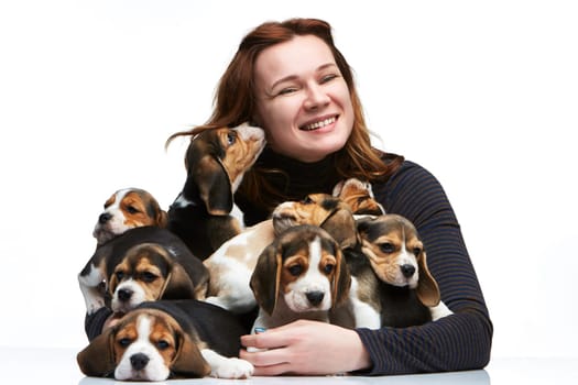 The happy  woman and big group of a beagle puppies on white background