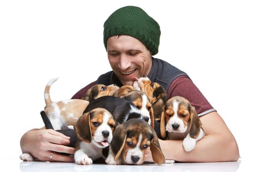 The happy man and big group of a beagle puppies on white background