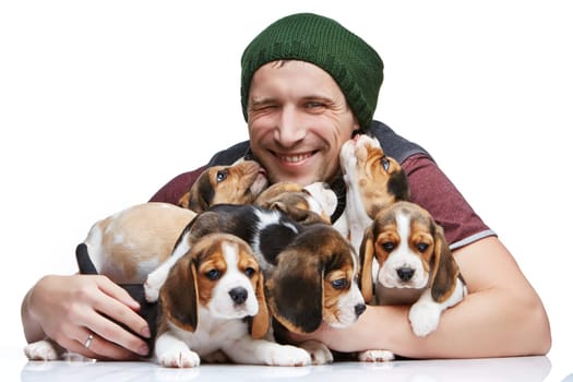 The happy man and big group of a beagle puppies on white background