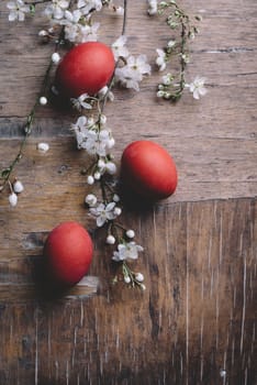 Red easter eggs and spring cherry blossom on rustic wooden table from above. Easter holiday greeting card.