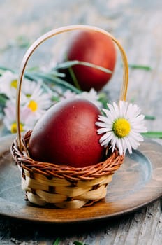 Hand painted red easter egg and daisy flower closeup in rustic wooden basket. Easter still life spring decoration. Traditional hand painted ester eggs.