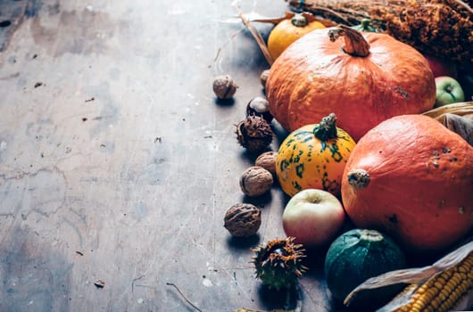 Thanksgiving still life with farm crops over wooden background. Traditional thanksgiving dinner concept with autumn pumpkin decoration.