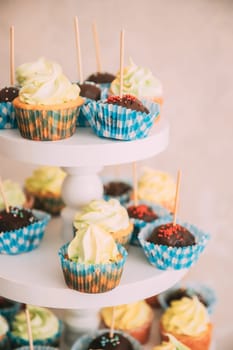 Dessert Sweet Tasty cupcake in Candy Bar On Table. Delicious sweet buffet.