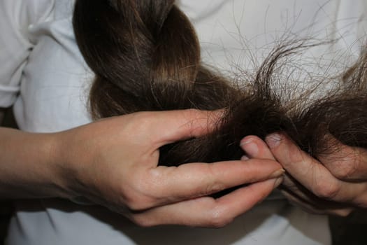 A girl with long dark hair braided holds the ends of damaged hair in her hand. Hair loss problem.
