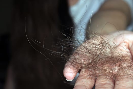 The girl holds a bunch of fallen hair in her hands. Hand close up. Hair loss problem.