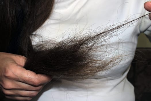 A girl with long dark hair holds the ends of damaged hair in her hand. Hair loss problem.