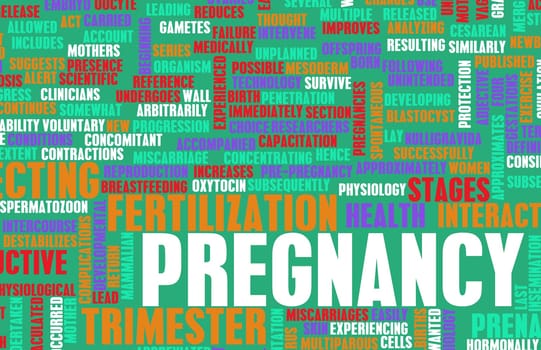 Pregnancy Concept Preparation of an Expecting Parent
