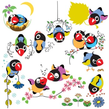 set with cartoon birds for babies and little kids. Images isolated on white background